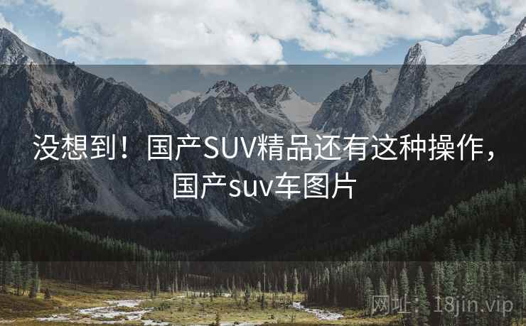 没想到!国产SUV精品还有这种操作,国产suv车图片 没想到!国产SUV精品还有这种操作,国产suv车图片