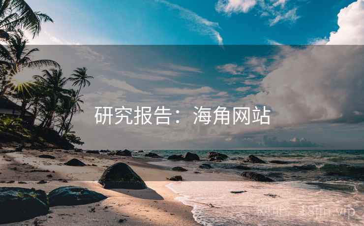 研究报告:海角网站